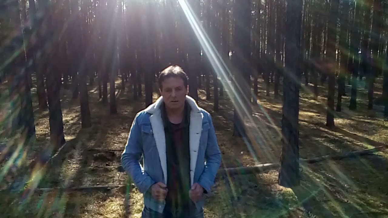 Nadleśnictwo Sulechów Odc 36 Wycinka drzew