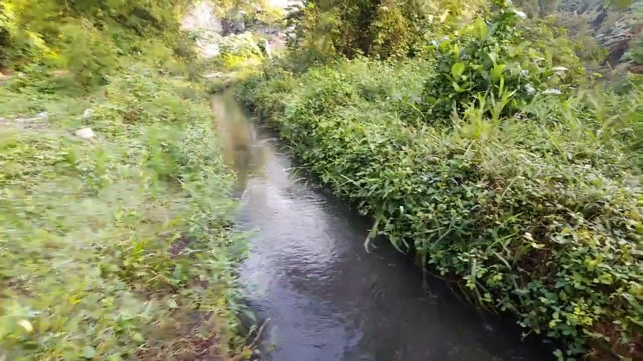 To walk along a brook @Tari Luhur