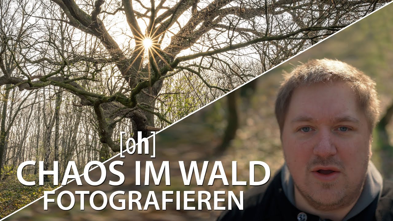 Landschaftsfotografie zu besonderen Zeiten - Chaos im Wald fotografieren