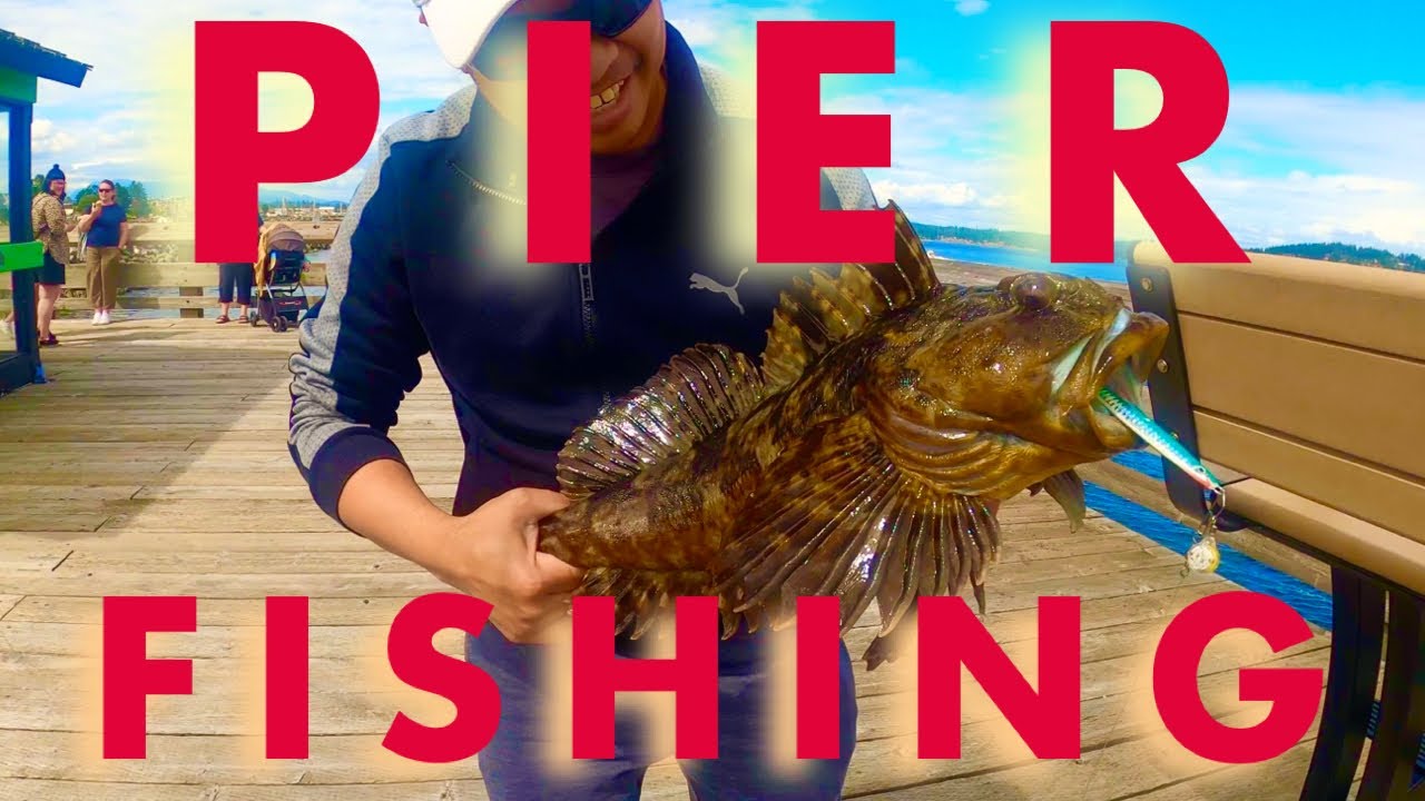 FIRST TIME PIER FISHING at CAMPBELL RIVER / CABEZON FISH