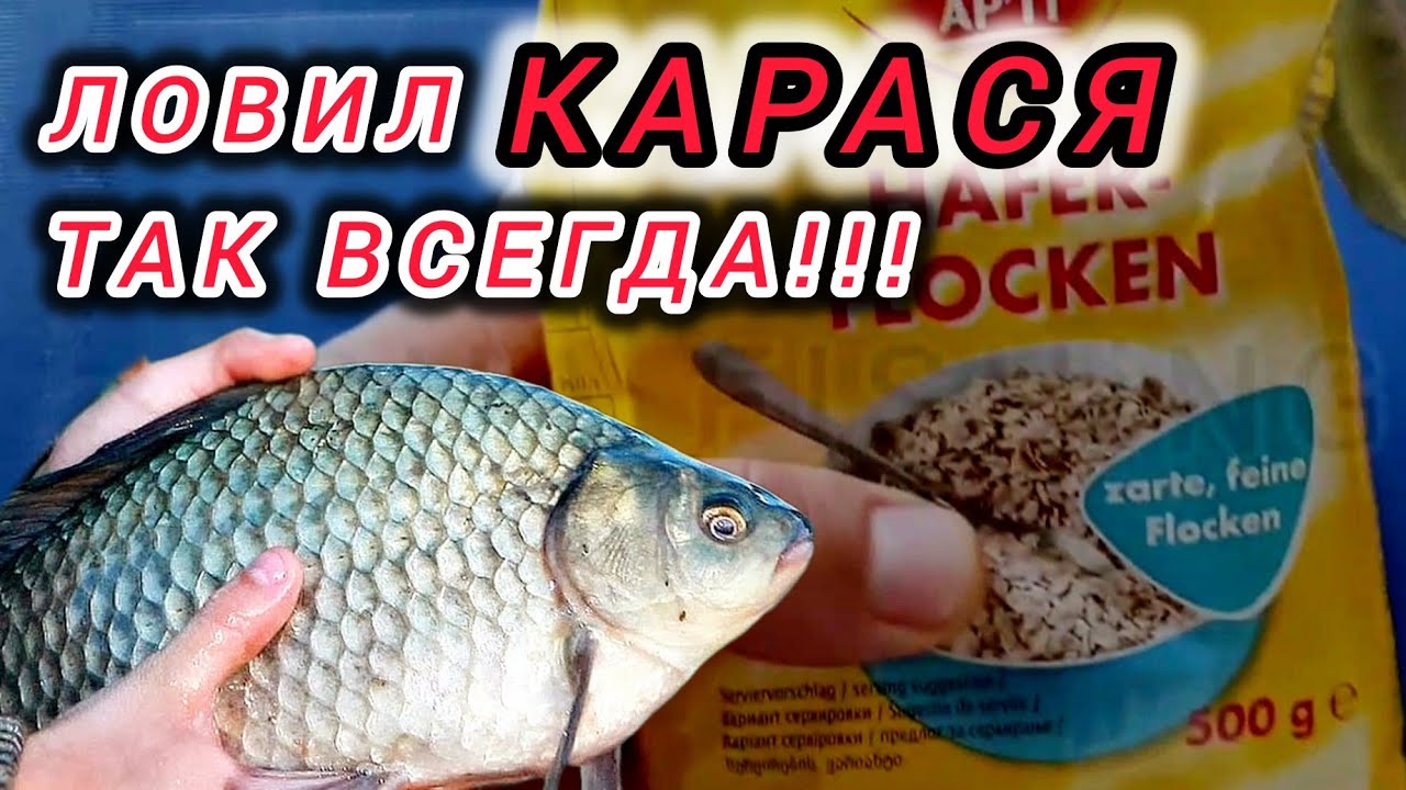 ОТЛИЧНАЯ НАСАДКА ДЛЯ ЛОВЛИ КАРАСЯ И КАРПА!