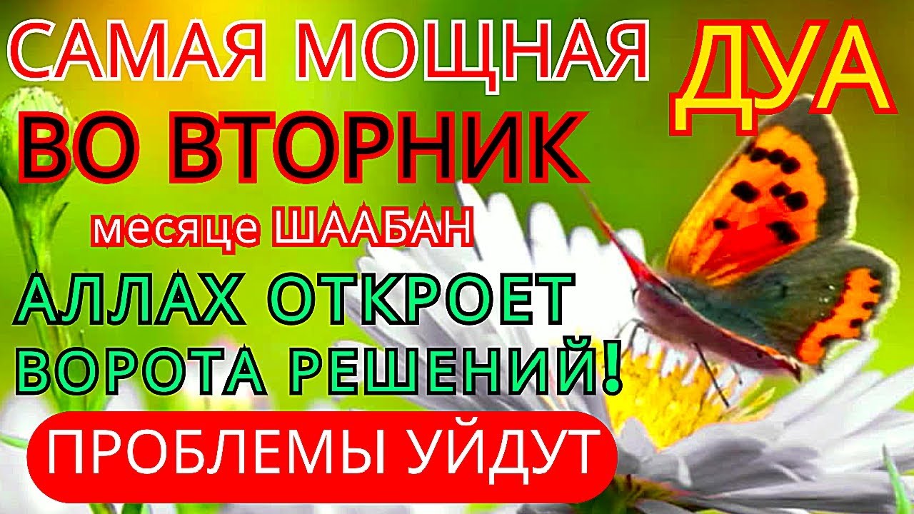 ✨СУРА КАХФ КАЖДУЮ ВО ВТОРНИК ЧИТАЙТЕ СЛУШАЙТЕ В МЕСЯЦА ШААБАН #суракахф  #ЧитайКоран
