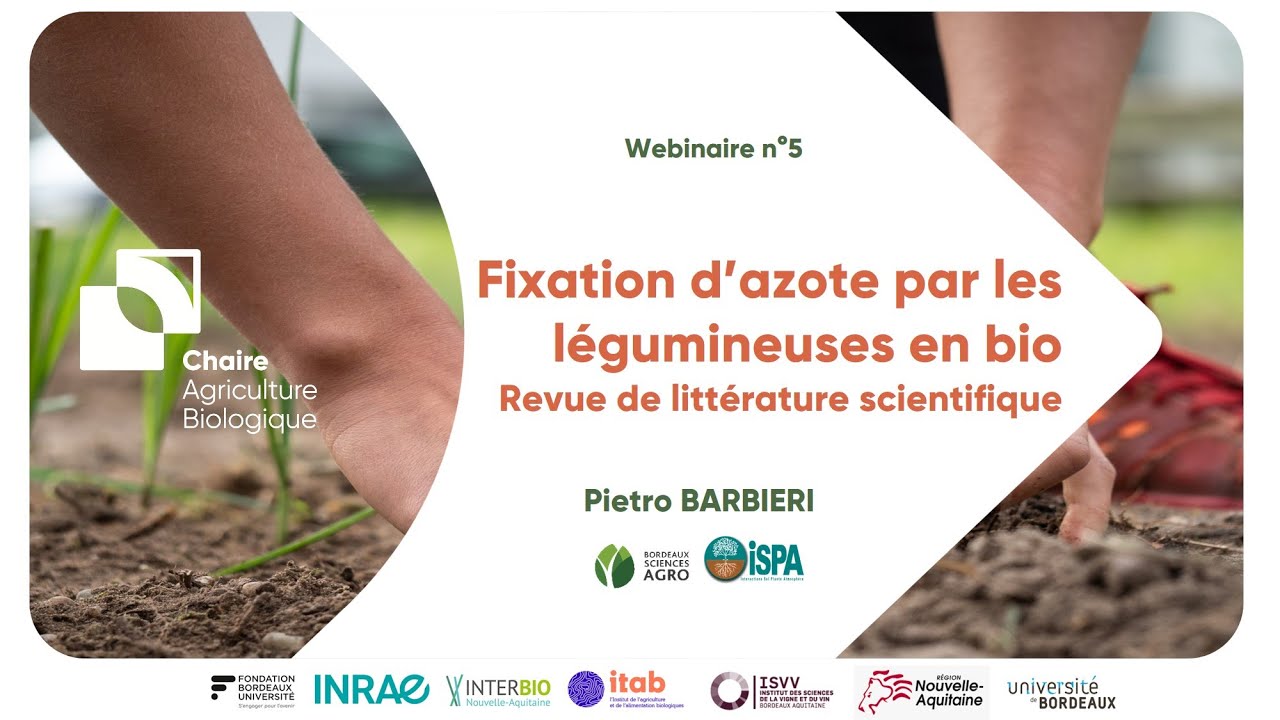[Webinaire n°5] 