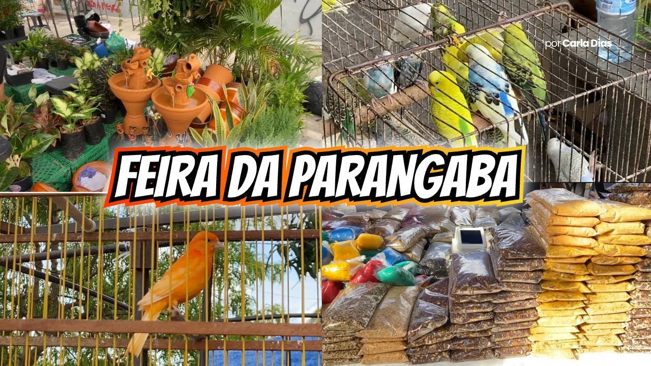 Feira da Parangaba- Fortaleza-CE 