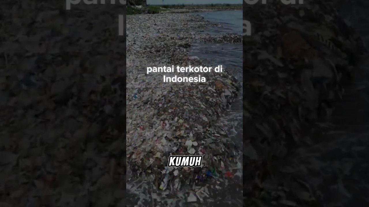 cara kerja komunitas pecinta lingkungan! 