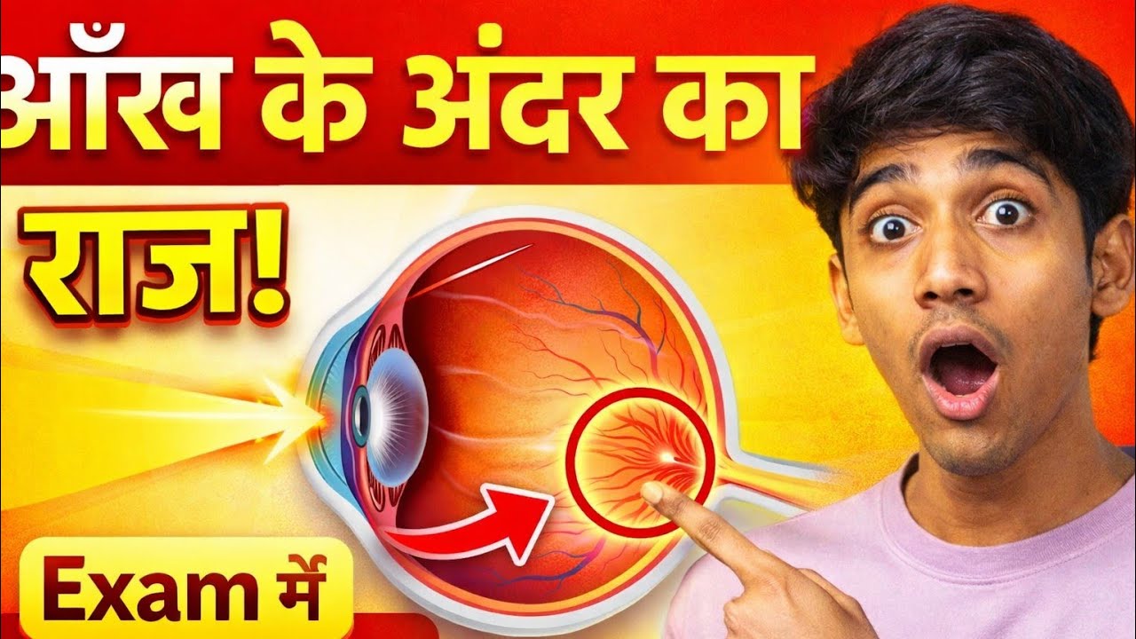 क्या आप जानते हैं आंतरिक आँख का कौन सा भाग सबसे ज्यादा Important है?Retina, Lens, Optic Nerve Blind 