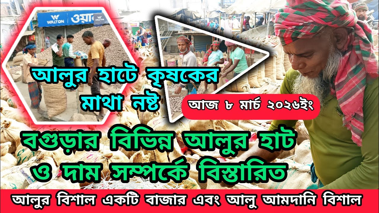 ৮ মার্চ ২০২৬ইং বগুড়ার বিভিন্ন আলুর হাট ও বিক্রয় আপডেট | কৃষক এর মাথা নষ্ট করা আলুর দাম #আলুরদাম২০২৬