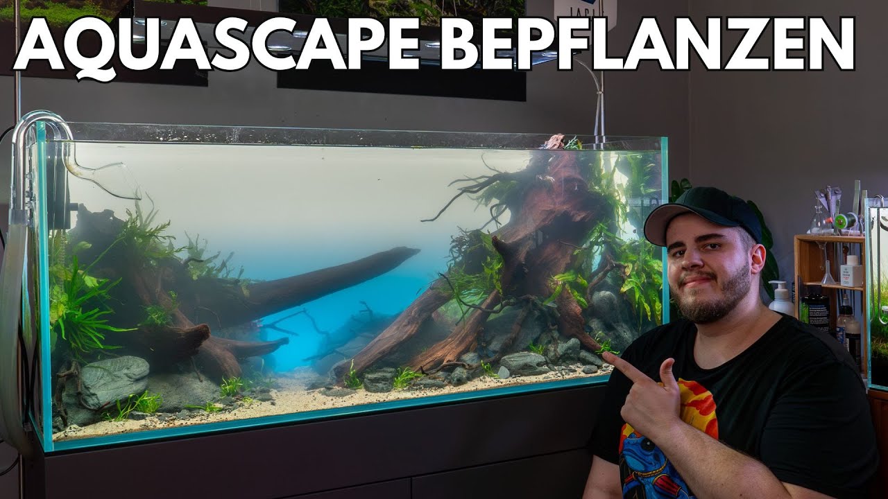 Es ist endlich soweit: Mein 300L Nature Aquarium wird bepflanzt!