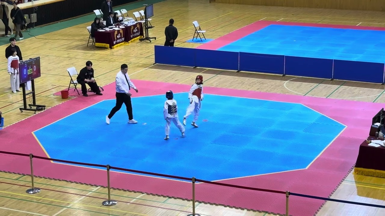 수연 결승