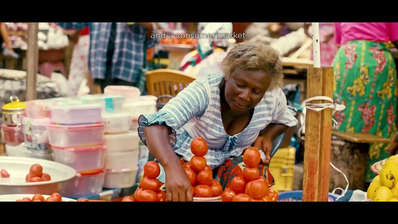 Glimpse into Africa’s Economy and Market Outlook | Africa Day 2025