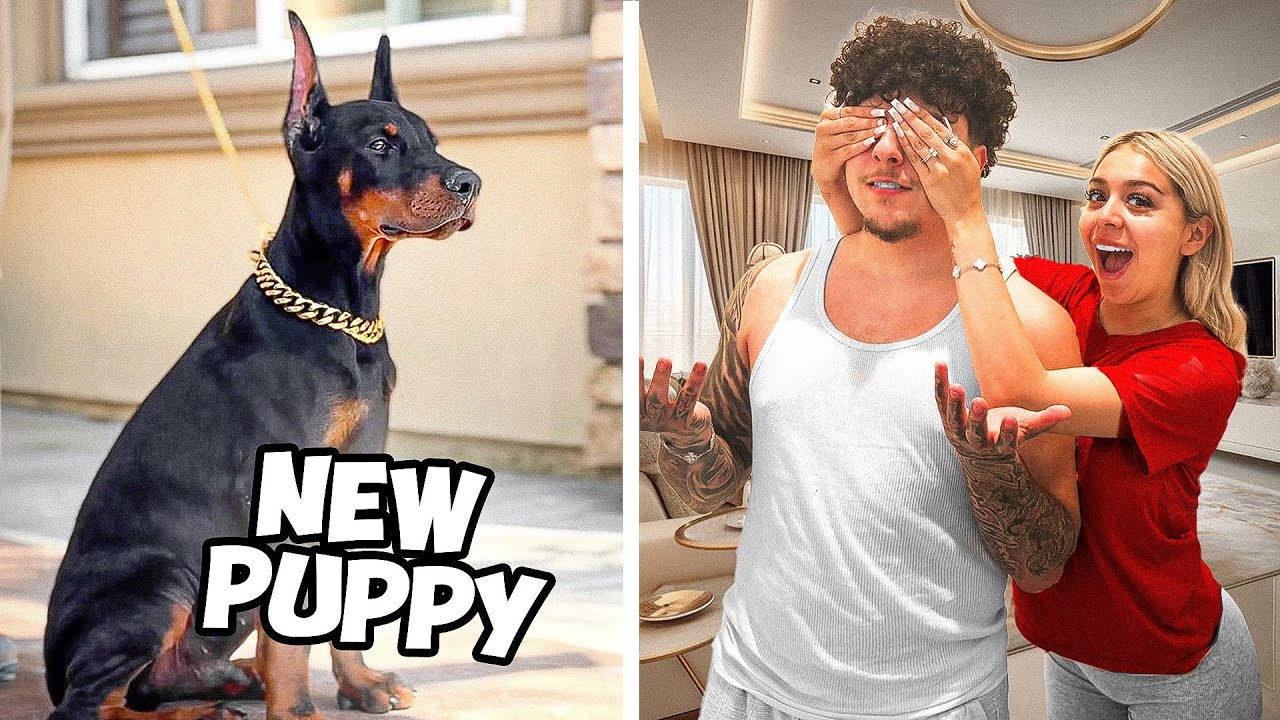 SURPRISING HIM WITH DOG NUMBER 5!! (MEET KRATOS)