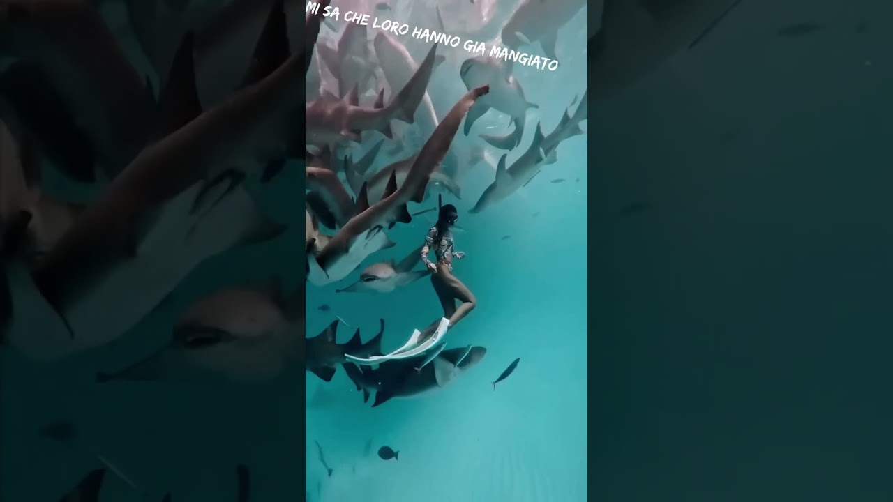 Wow&hellip;che coraggio #mare #natura #sub