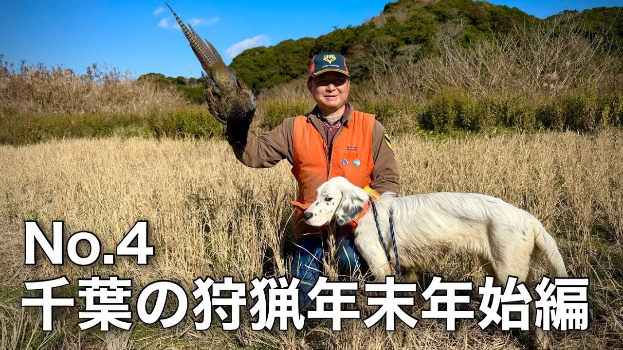 千葉の狩猟年末年始編No.4イングリッシュセターの子犬ピノ号と雉を獲る！