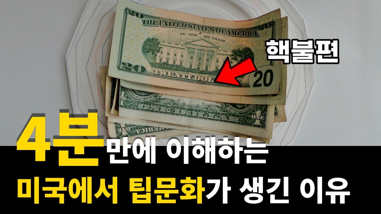 초등학생도 이해하는 미국 팁 문화 총 정리
