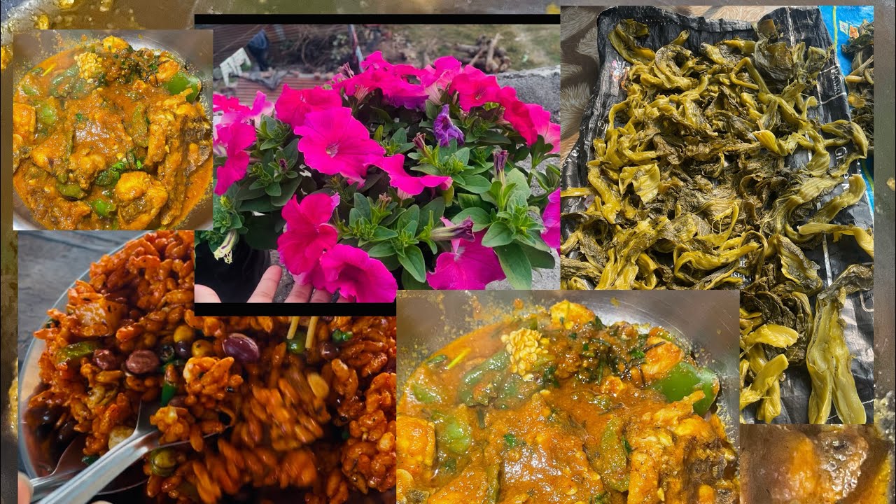 Jundruk ko aachar banaune sahi tarika..chicken ra capsicum ko sabji🫑 