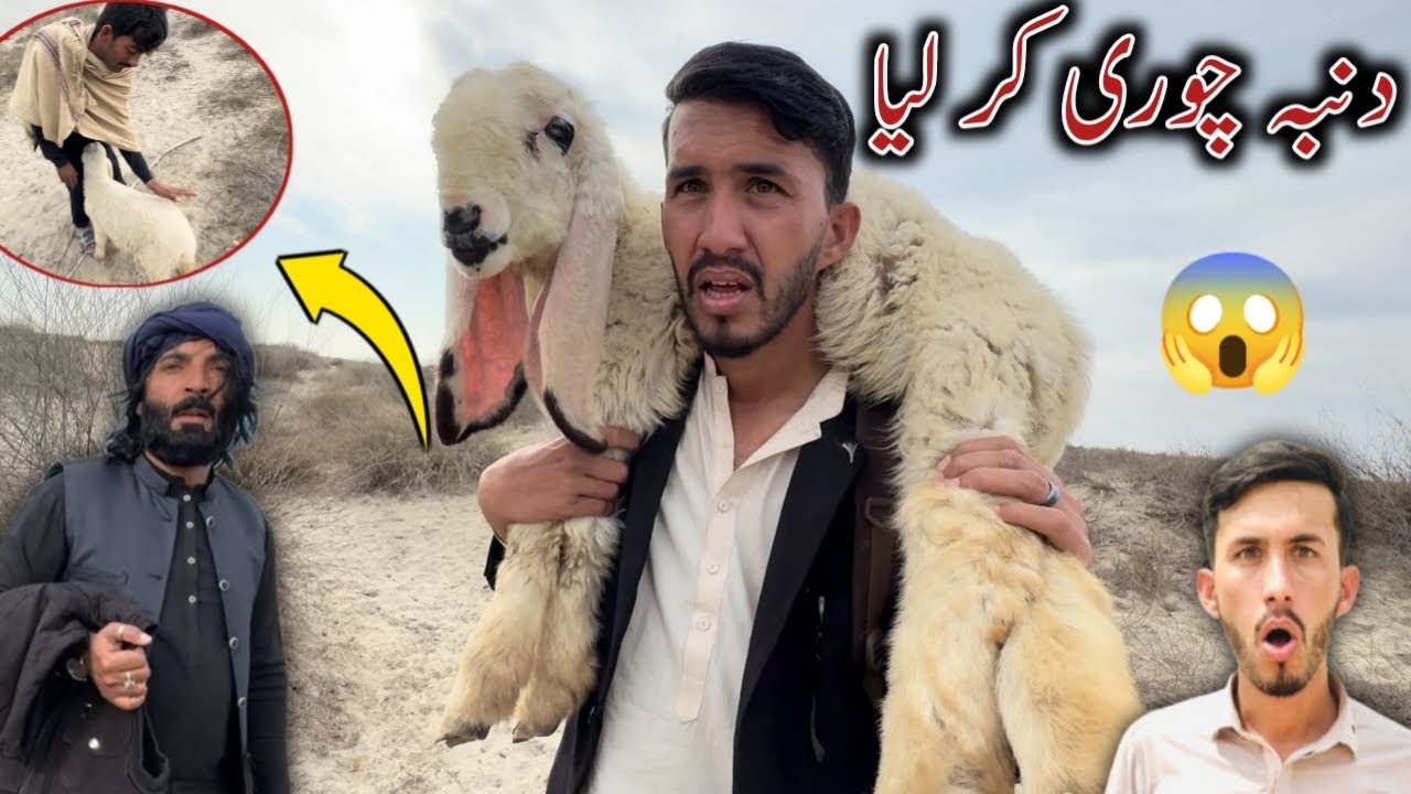 Dumba Chori Kar Liya 😱