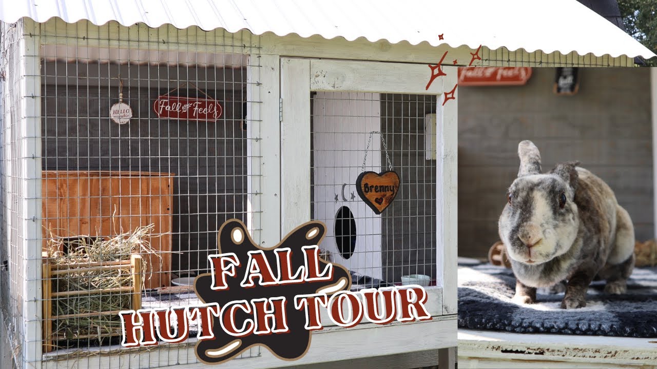 RABBIT HUTCH TOUR - fall decor + inspo
