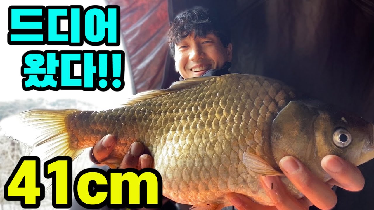 (SUB) 그림같은 4짜를 만나다!! 산란철 붕어낚시 내림낚시  carp fishing へらぶな