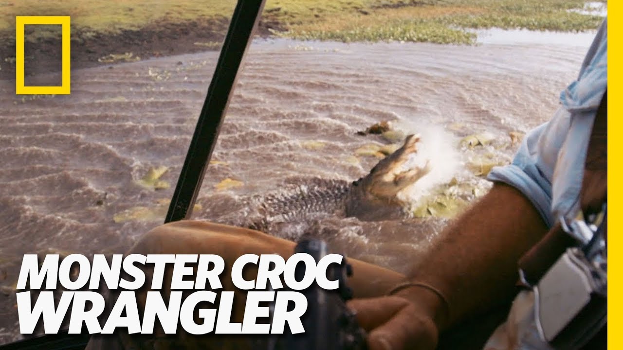 Croc v. Chopper | Monster Croc Wrangler