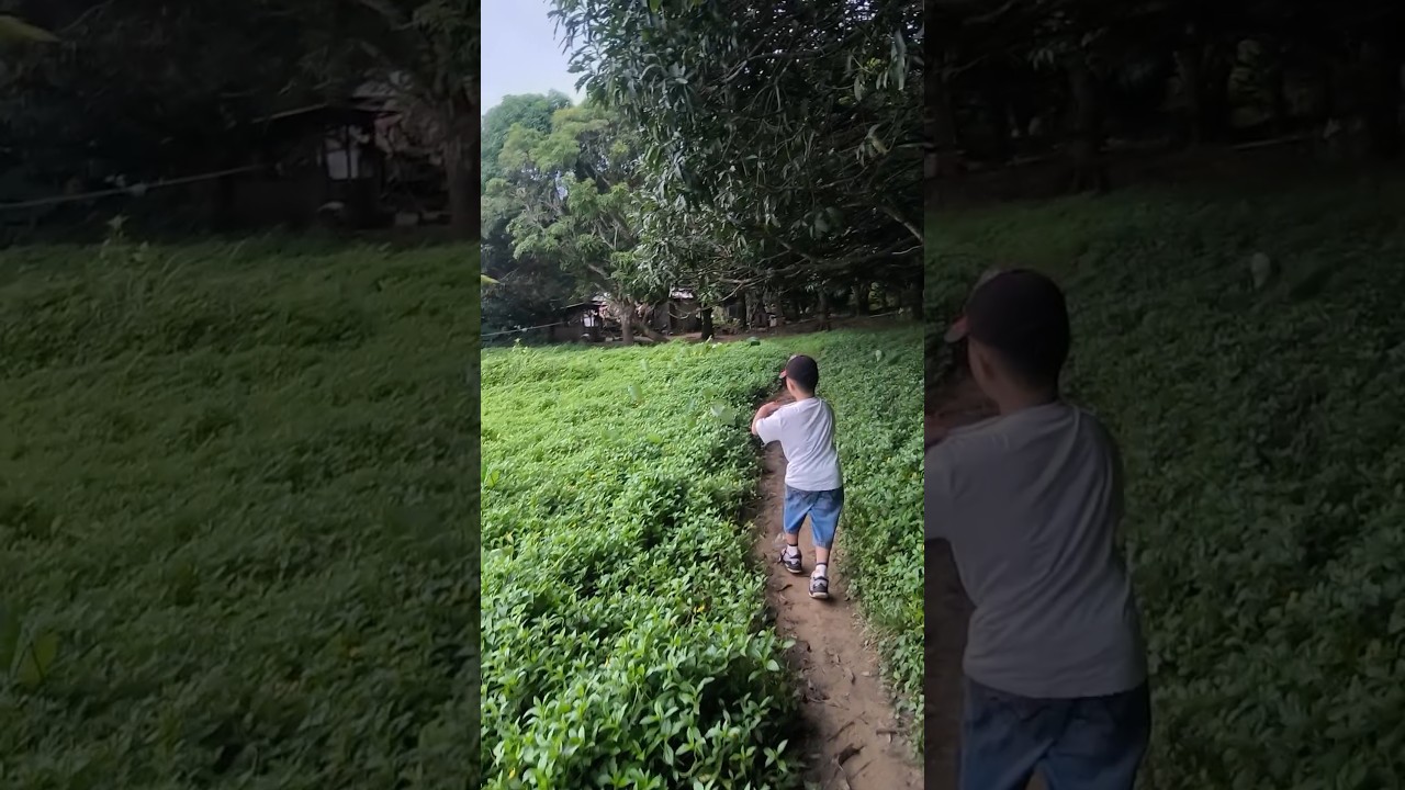 DON ANDREW 🥳🎉 #trendingshorts #fyiシ゚viral #batangpasaway #walking