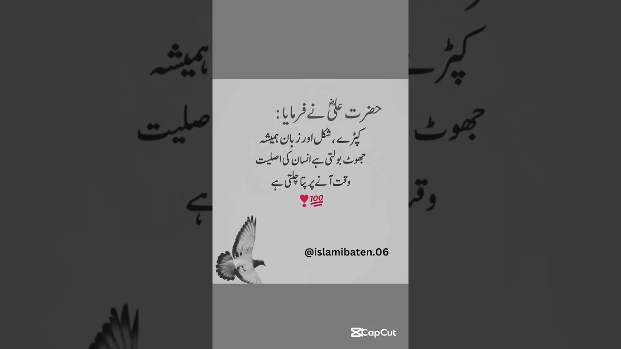 #islamicstatus #quotes #islamicpoetryinurdu #islami #shayari #unfrezzmyaccount #islamistories