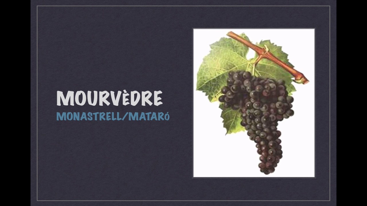 Winecast: Mourvèdre