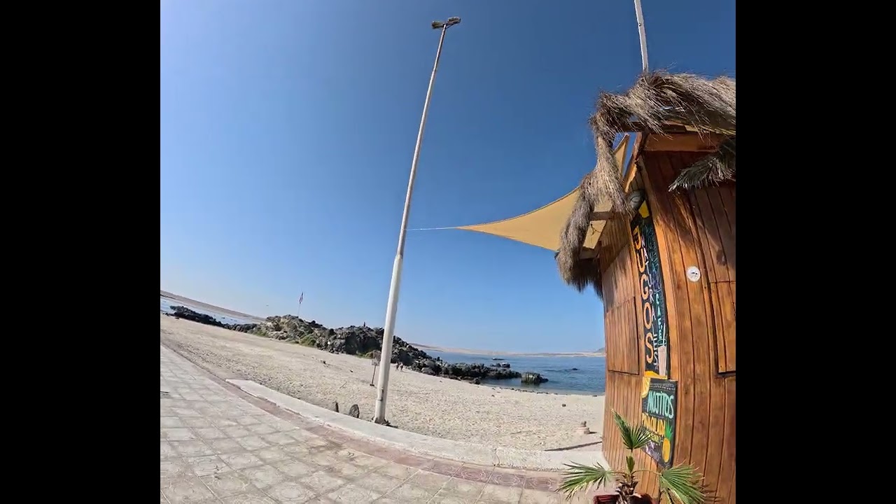 Giant talon por Bahía Inglesa 