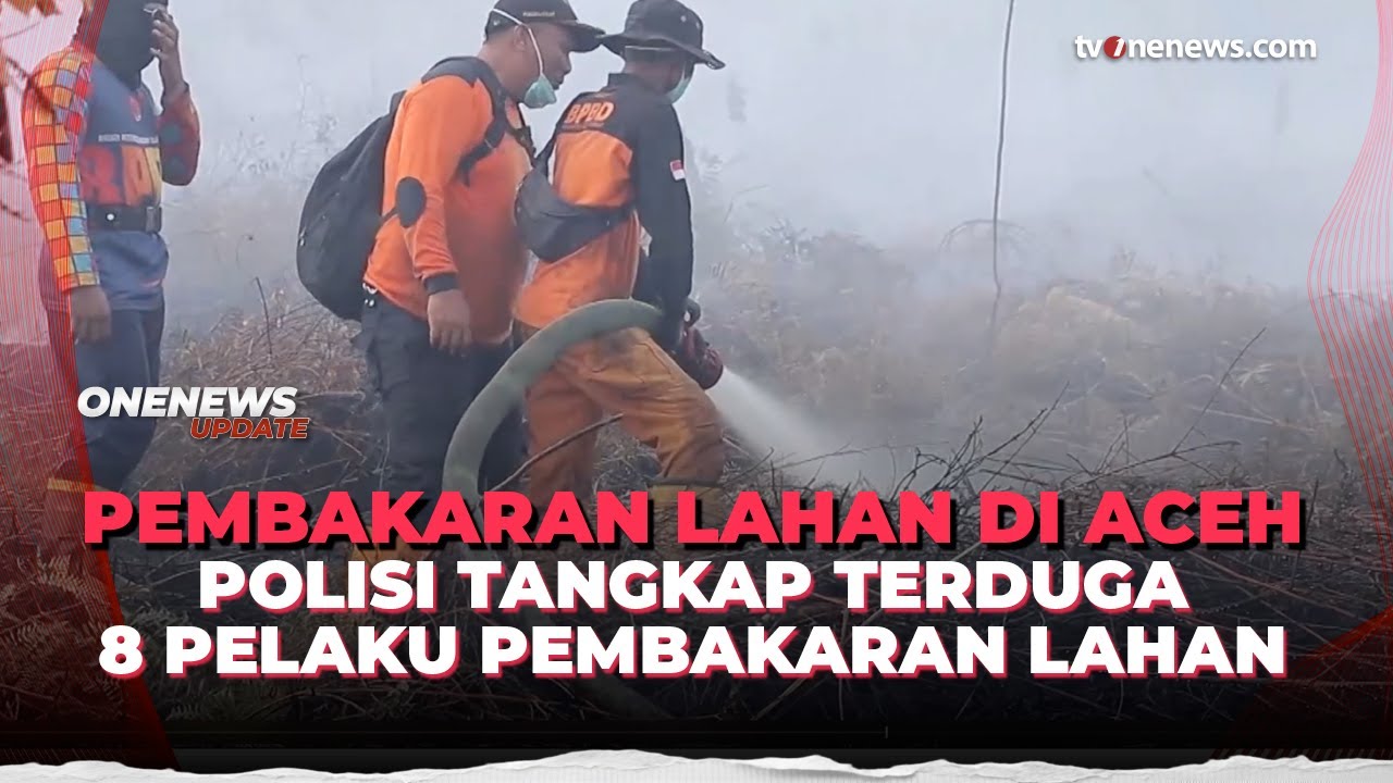 Kebakaran Lahan Gambut Meluas, Polisi Periksa 8 Orang Terduga Pelaku Pembakaran | OneNews Update
