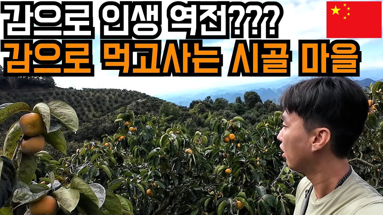 감으로 지역 경제가 굴러가는 어느 시골 마을 - 중국(8-4)
