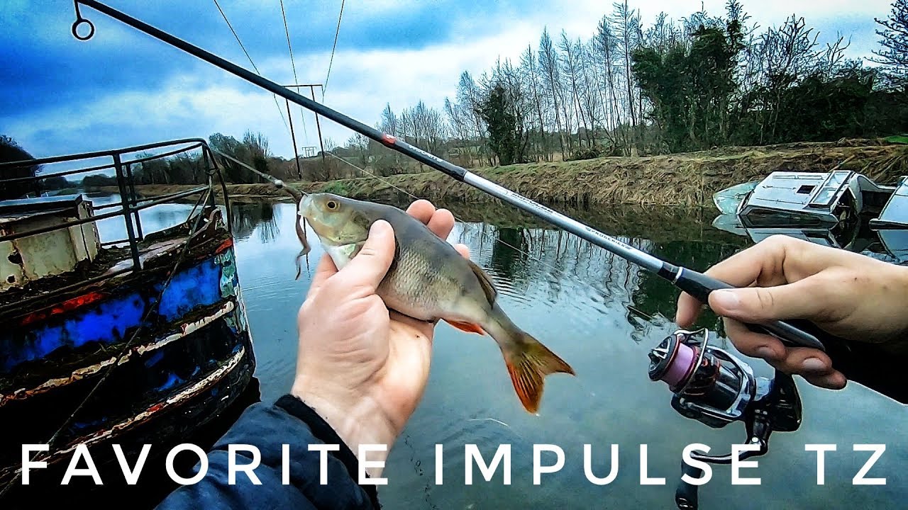Perch Fishing Canal with Favorite Impulse TZ, 7.6ft, 0.6-7gr (2019)