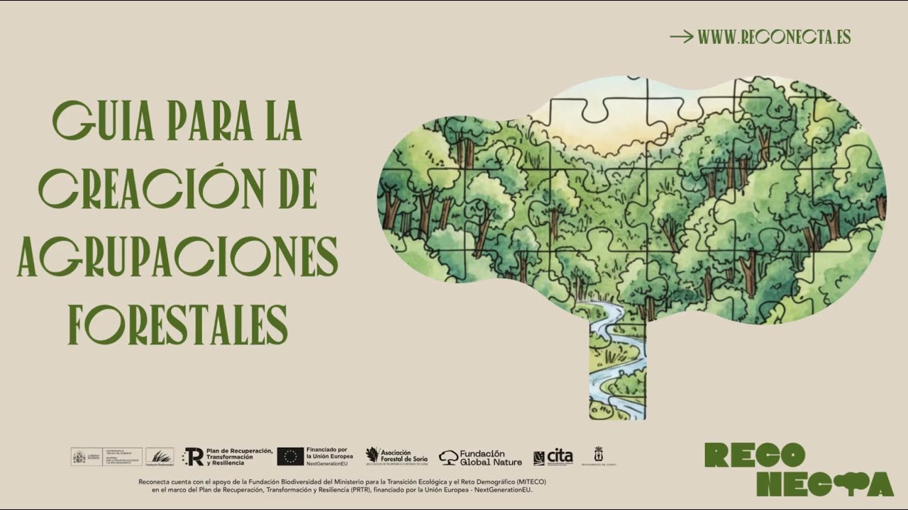 Guía creación agrupaciones forestales