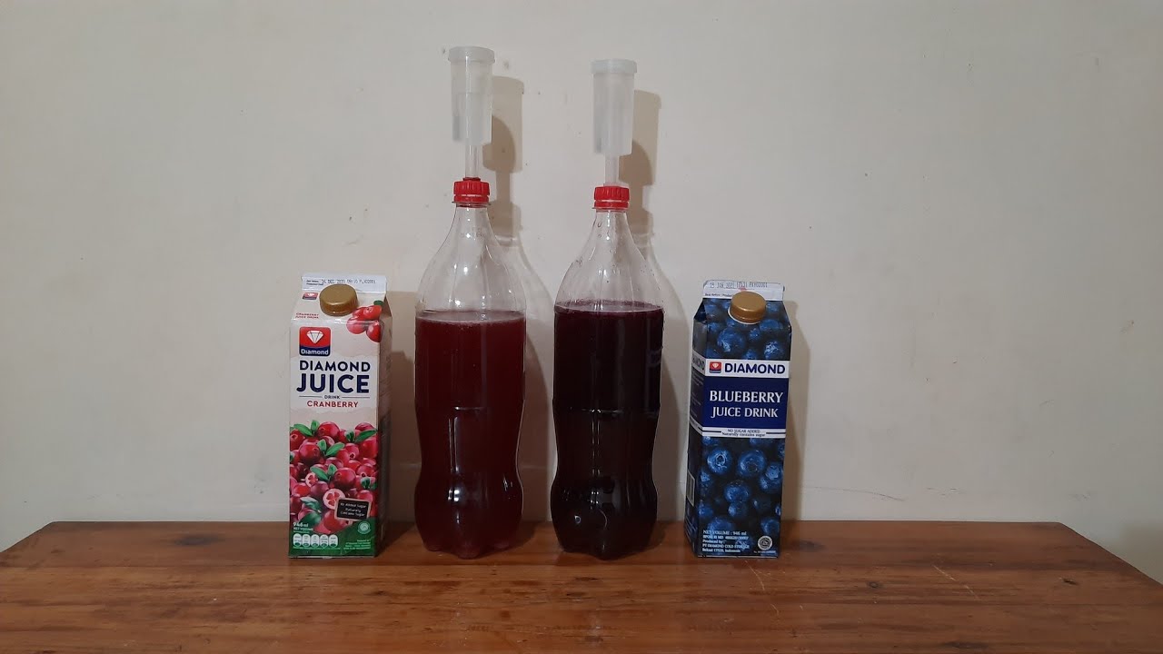 SERI HOME BREWING SEDERHANA #4 FERMENTASI JUS KEMASAN DARI SUPERMARKET