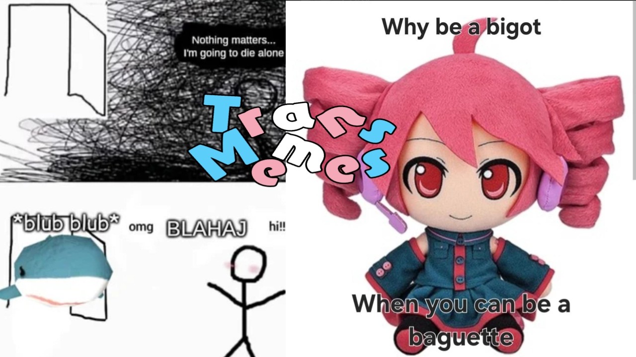 🏳️‍⚧Some Silly Trans Memes🏳️‍⚧