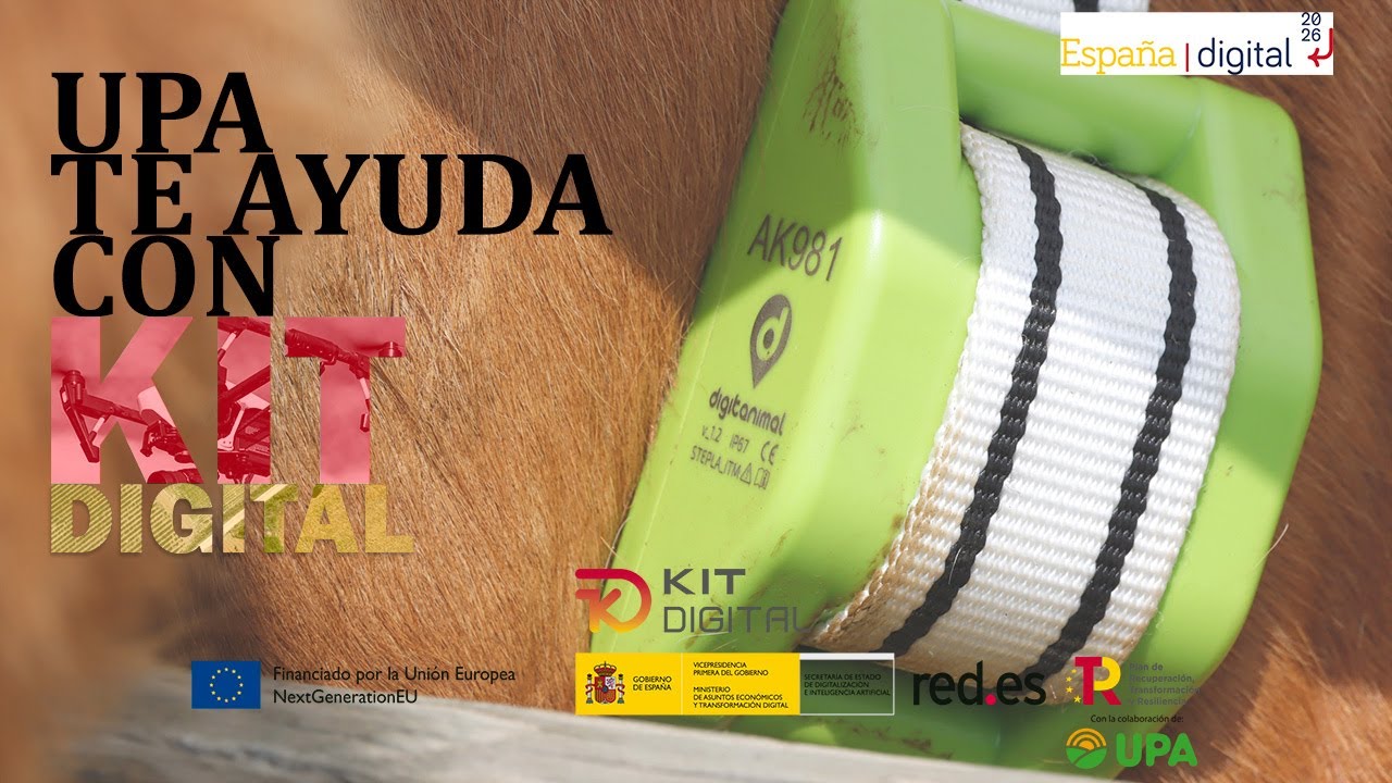 Collares para el ganado: la herramienta que mejora la vida de los animales (y de los ganaderos)