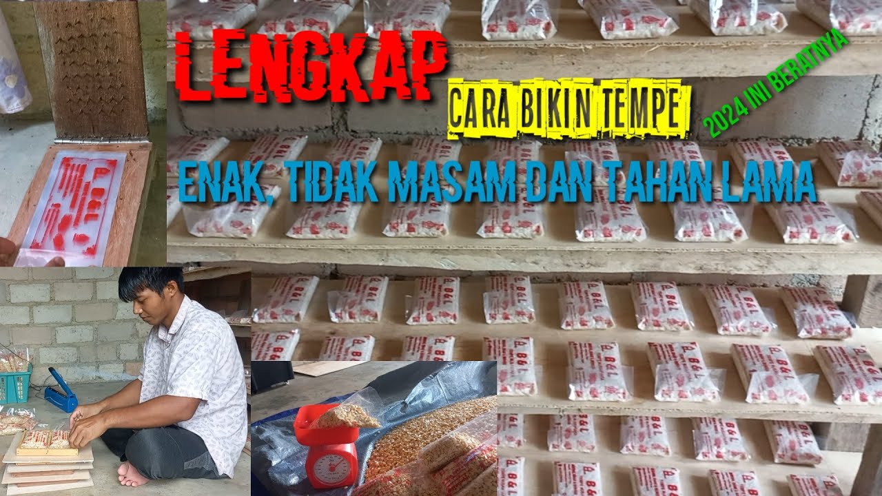 Cara buat tempe lengkap dengan pembahasannya