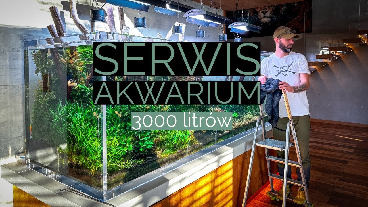 Serwis akwarium słodkowodnego 3000 litrów i pogadanka z @peHa:68