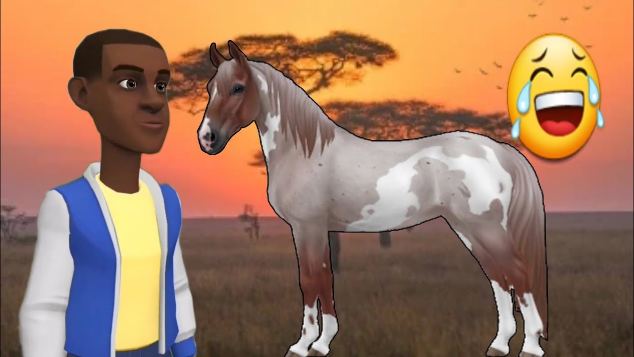 Boy Diola - Les moments les plus drôles - épisode 1 - dessin animé en wolof #BoyDiolaSenegal