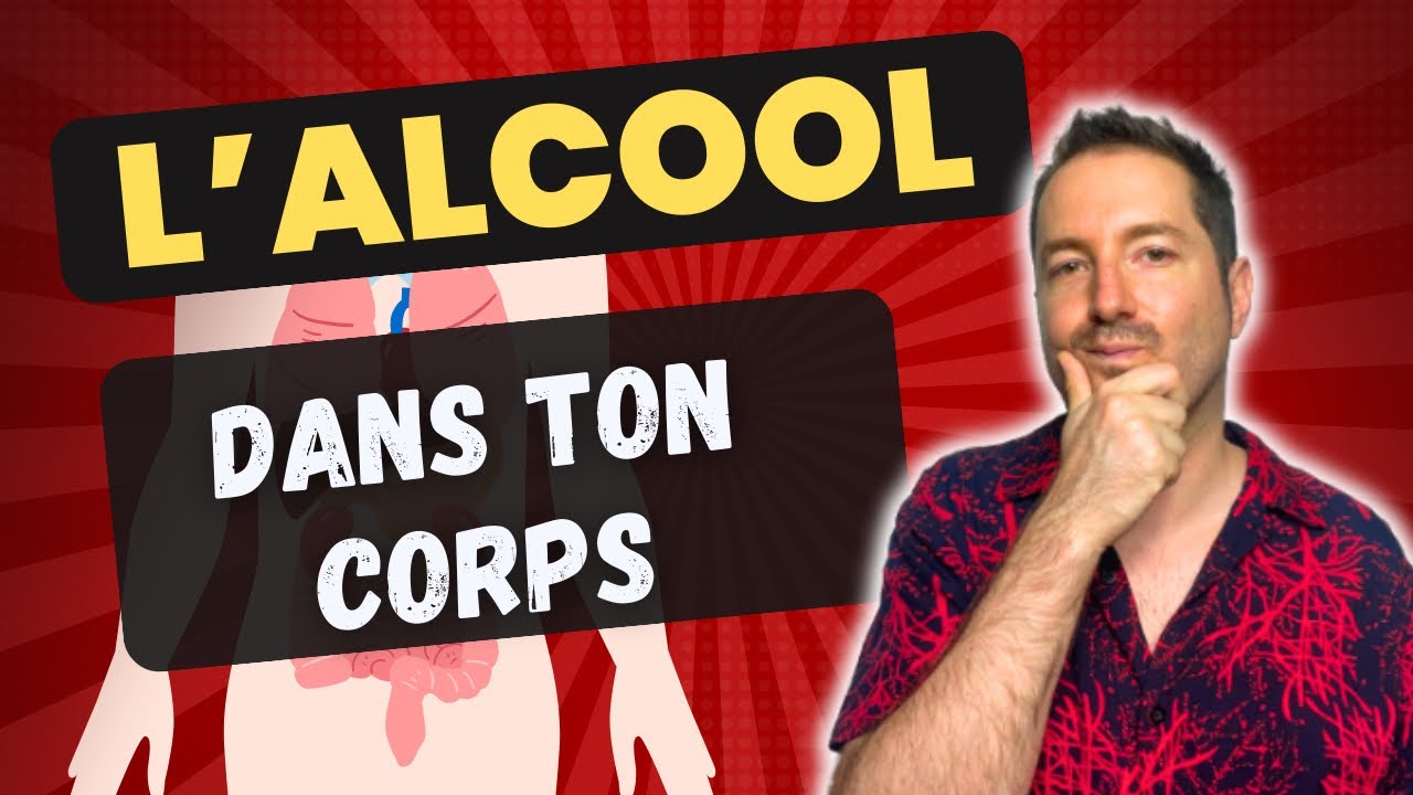 Le Trajet de l'Alcool dans le Corps (A voir)