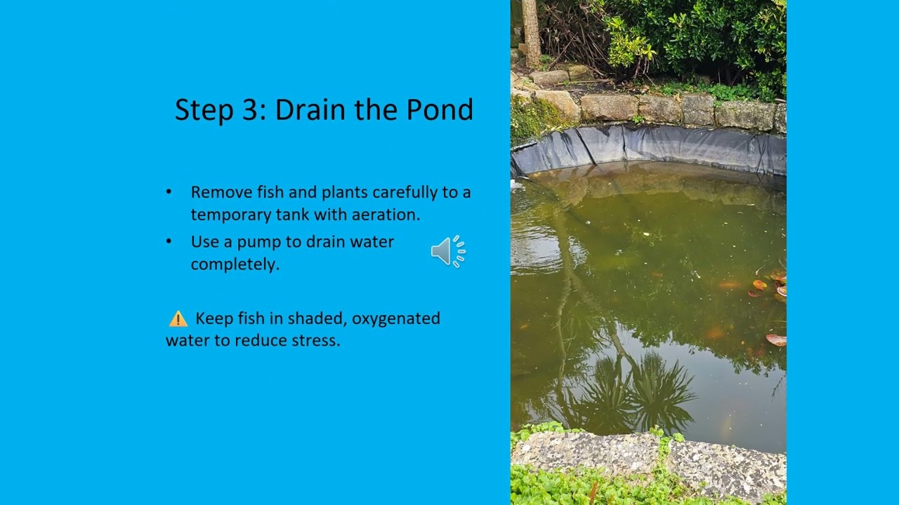 How to Replace a Pond Liner Step by Step | DIY Pond Repair Guide