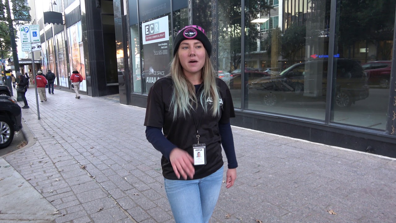 How to be a successful Canvasser?