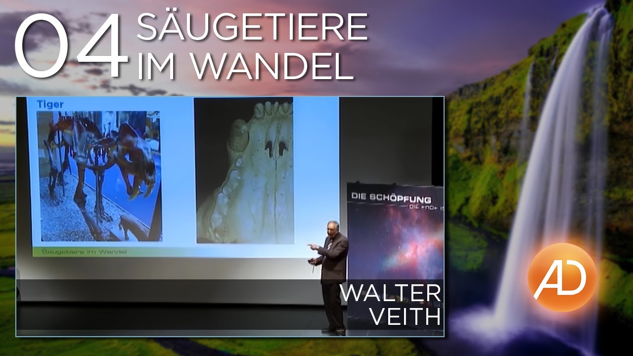 Kreation vs Evolution, 04. S&auml;ugetiere im Wandel
