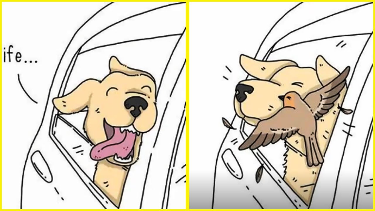 What If Animals Can Talk - Funny Comics By Jimmy Craig