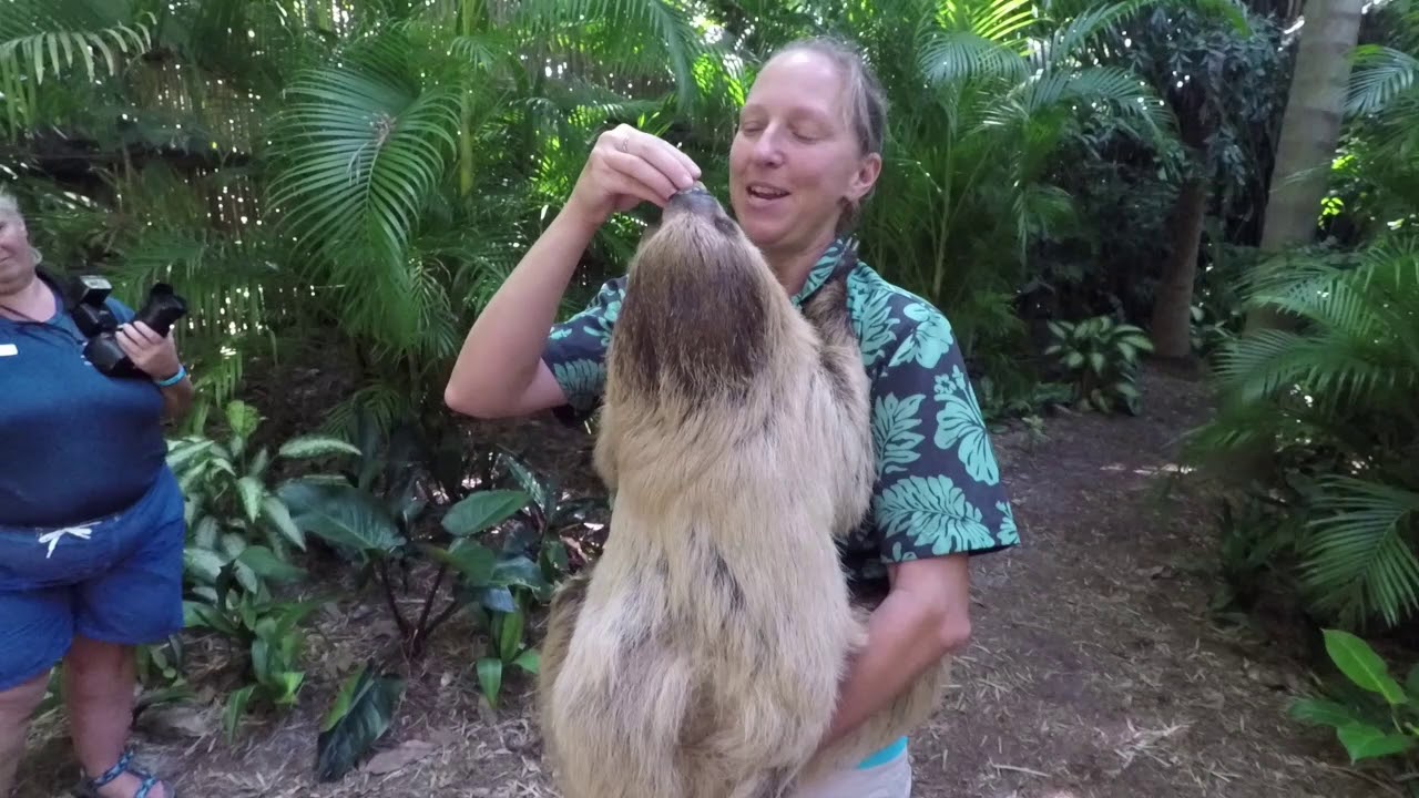 Discovery Cove w/ Animal Trek