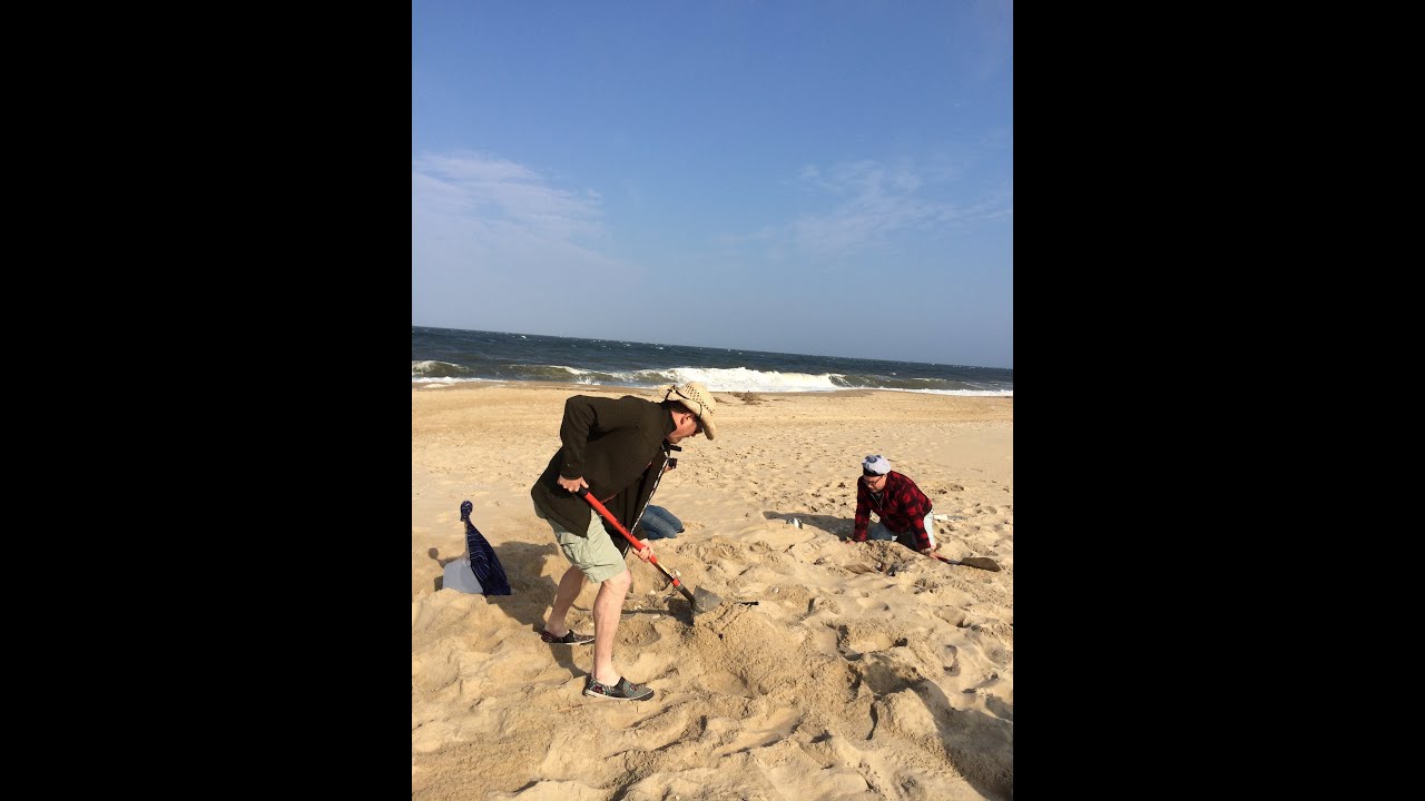 🍕 Pizza Kings Take Over Delaware: Scrapple, Honey & a Stormy Beach Clambake! 🌊🐝