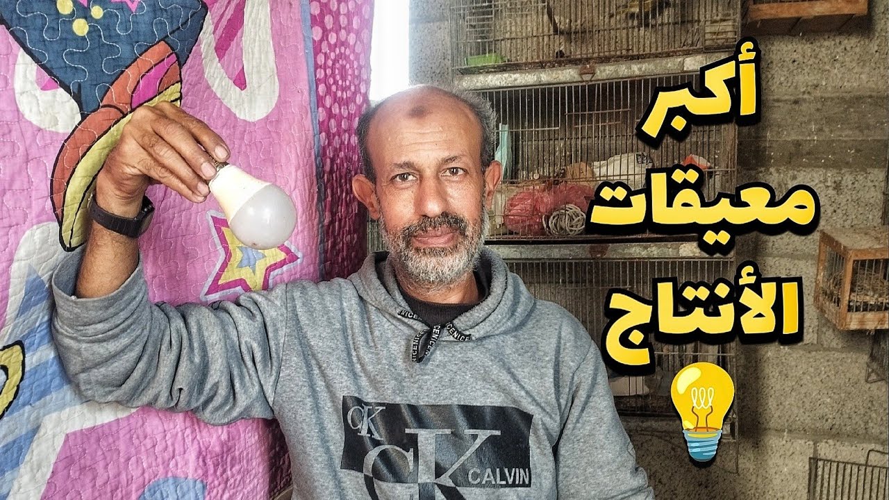 أهم معيقات الإنتاج للكناري و طيور الزينة موسم 2026