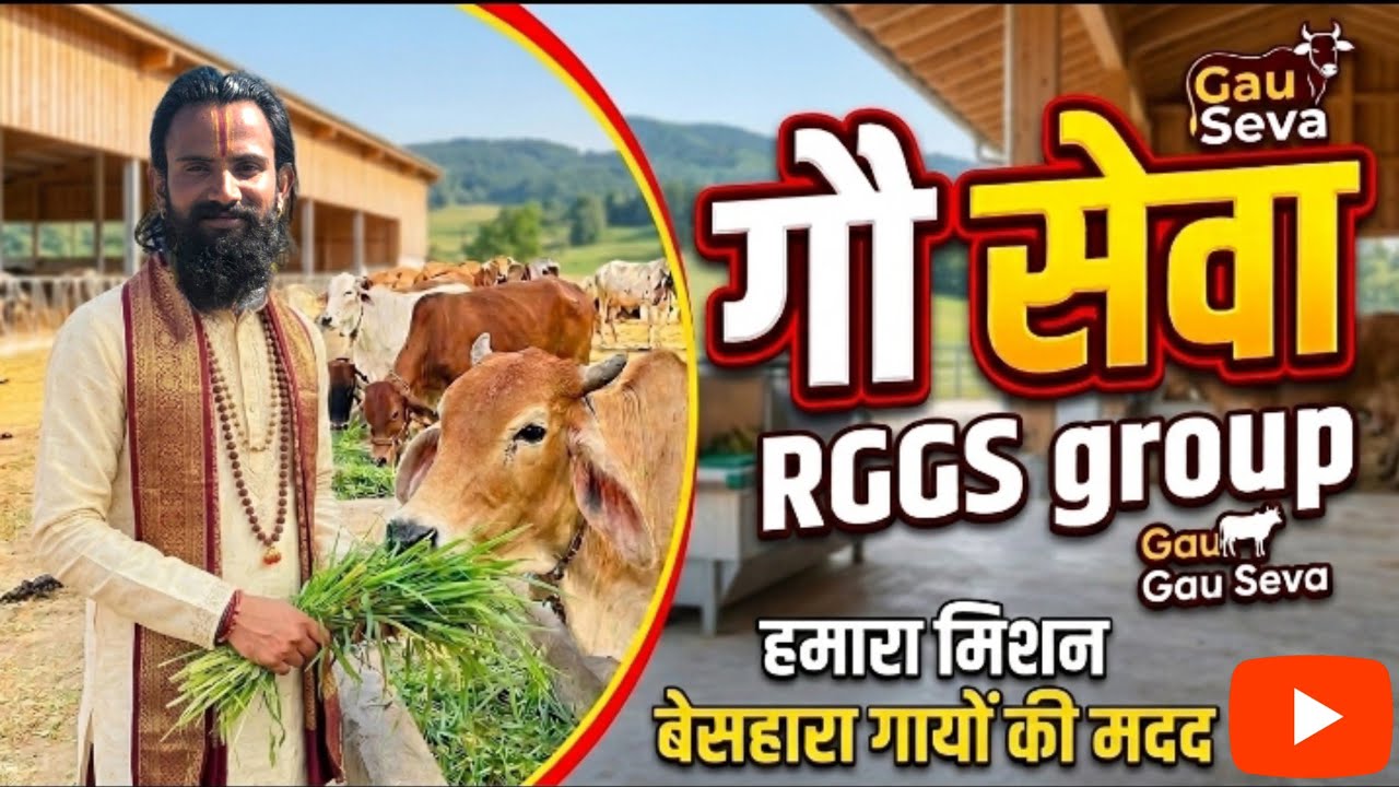 RGGS Group गौ सेवा | गाय को चारा खिलाते हुए | Gau Seva Vlog | Feeding Cows | गौ माता सेवा