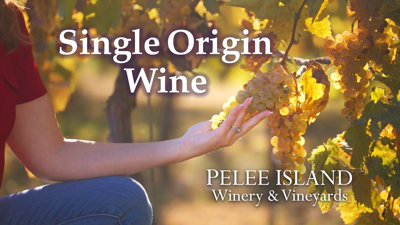 HOW SOIL FLAVOURS THE GRAPE - The Journey to Harvest at Pelee Island Vineyards