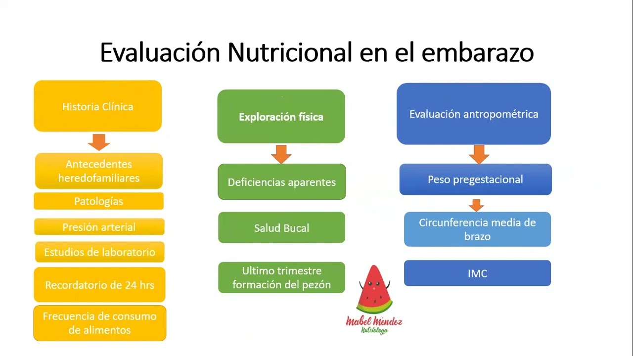 Embarazo y nutrición 2023