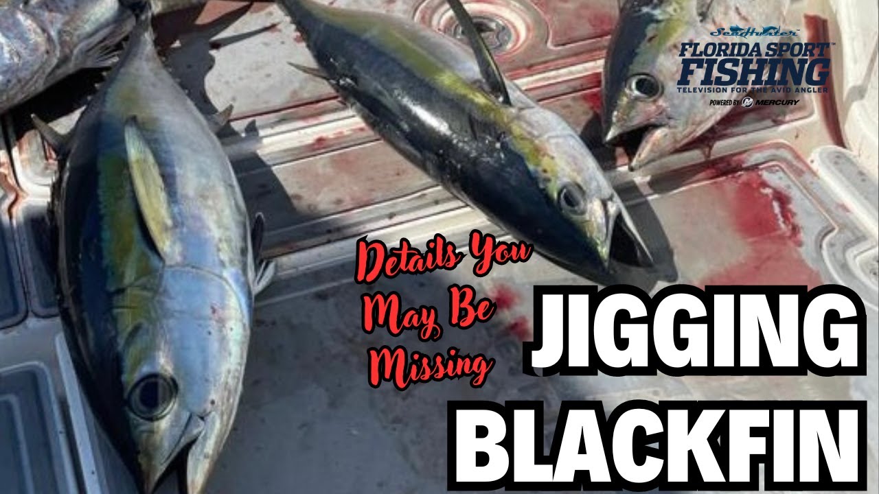 Jigging Blackfin Tuna | FloridaKeys Islamorada & Marathon Hump | Best Blackfin Tuna Tips | Fsftv