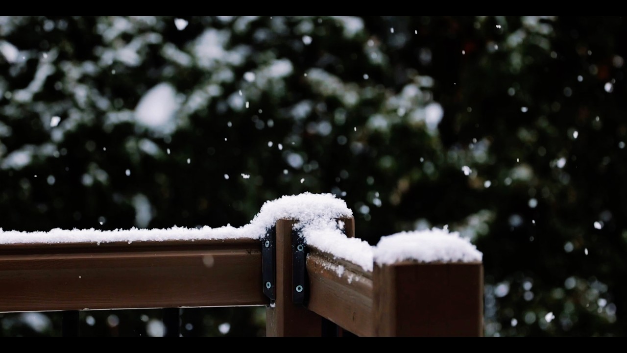 5 Hours Snowfall on a Winter Deck – Relaxing Wind & Birds for Sleep & Relaxation ❄️